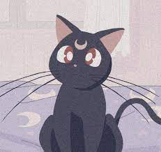 https://encrypted-tbn0.gstatic.com/images?q=tbn:ANd9GcQCzBRujQtY1tARr5V1szYTot7e6Q3ZIGSoMHge7__rzzx5eDDJNiioc1wHrJNe3N7lUqw&usqp=CAU