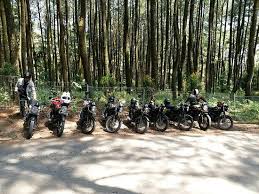 Sarang translation in english to urdu » سرنگ meaning in english is tunnel. Foto Di Sarang Lebah Picture Of Mount Pancar Park Bogor Tripadvisor