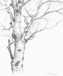 Tree Drawing Drawings Tree Drawing Tree Art Tree Sketches