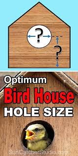 Birdhouse Hole Size Chart Bird House Hole Size Best Dimensions Bird House Feeder Bird House Kits Bird Houses