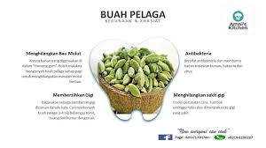 Tumbuhan ini dipercayai berasal daripada kawasan hutan ropika di malaysia, indonesia. Amni S Kitchen Al Kisah Si Buah Pelaga Macam Biasa Buah Facebook