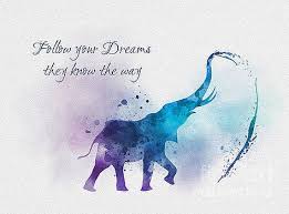 Pin By Bellarosie On Lettering Design Ideas Colour In 2021 Art Prints Quotes Magical Quotes Elephant Quotes