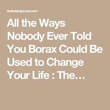 All The Ways Nobody Ever Told You Borax Could Be Used To Change Your Life The Borax Told You So Detergent Booster