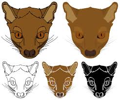 Fossa Animal Of Madagascar In Face View Fossa Animal Animals Cute Animals