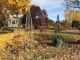 Made of natural willow, it will last several season in the garden. How To Make An Obelisk For The Garden Susan S In The Garden