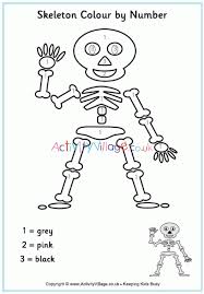 The skull is a skeletal structure in the head that supports the face and forms the protective cavity for the brain. Skeleton Colour By Number