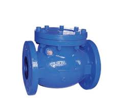 MIFAB BEECO Swing Check valve are used to prevent backflow