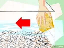 There are many causes of cloudy it can be frustrating when the aquarium water gets cloudy and your fish disappear into its hazy fog, but it also indicates a problem you might not have. How To Fix Cloudy Aquarium Water With Pictures Wikihow