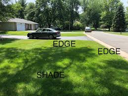 Prices starting as low as $10 a month. Lawn Care The Broccolo Way Broccolo Tree Lawn Care Rochester Ny