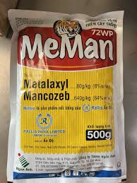 Meman 72WP
