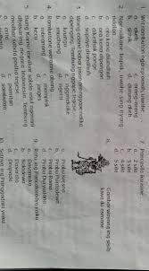 Babagan layang / surat dalam bahasa jawa yaiku media komunikasi yang memakai tulisan dalam secarik kertas. L Senana Ceceg Ceceg Ngisor Iki Nganggo Tembung Singlayang Pribadi Yaiku2 Layang Ulem Yaiku3 Brainly Co Id