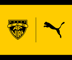 Camiseta fernández vial 2019 3a negro nueva original cafú. Puma Se Encargara De La Indumentaria De Fernandez Vial En Su Temporada 2020