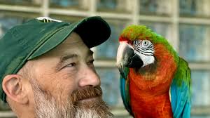 Frame of Mind: Focus