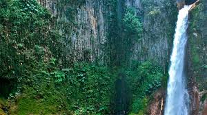 We did not find results for: Accelerated Drop Or How The Waterfall Becomes A Cataract Articles Pig333 Pig To Pork Community