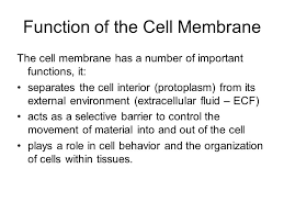 We did not find results for: Cell Membrane Structure And Function Function Of The Cell Membrane The Cell Membrane Has A Number Of Important Functions It Separates The Cell Interior Ppt Download
