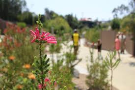 Resources that are making me a better stepmom | by Meghan Van Dyk | Medium