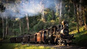 Brown Steam Train Landscape Train Railway Nature Steam Locomotive Australia Trees Forest Smoke Grass Sunlight 1080 Steam Locomotive Train Locomotive