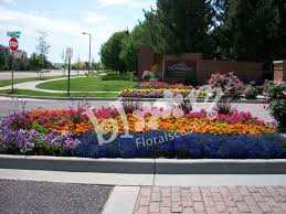 Commercial Landscape Annuals Design And Installation By Bloom Floralscapes Llc Denver Co Annual Flowers Bloom Flower Beds