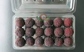 yuyao bayberry stars big colorful juicy flavor famed at home and abroad since ancient times the history of culti archaeological discoveries flavors juicy