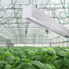 Check spelling or type a new query. Led Grow Lights For Horticulture Waveform Lighting