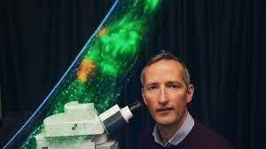Alex kouts | the secrets you don't know about negotiation part three. Tiny Glowing Worm To Unlock Brain S Secrets