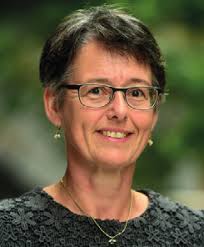 CONTROLLING PROFESSIONAL