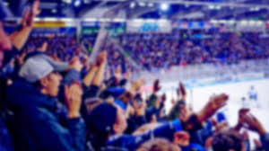 We did not find results for: Fanbeauftragte Straubing Tigers