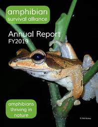 Amphibian Survival Alliance Annual Report By Amphibian Survival Alliance Issuu