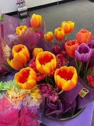 Check spelling or type a new query. These Caught My Eye At Cvs Just Had To Take A Picture Flowers