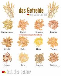 El grano había sido casi olvidado, pero en la historia reciente kamut está regresando. Das Getreide Deutsches Zentrum Madrid ÙÙŠØ³Ø¨ÙˆÙƒ