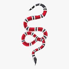 Download all photos and use them even for commercial projects. Gucci Wallpaper Snake Hd