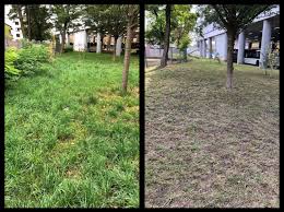 Gartner Fur Koln Umgebung Ihr Gruner Daumen Kiril Grigorov Landschaftspflege Grune Landschaft Landschaft