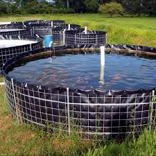 Thư Mục Nha Sản Xuất Tren Alibaba Nha Cung Cấp Sản Xuất Xuất Khẩu Nhập Khẩu Aquaponics Aquarium Outdoor Fish Tank Aquaponics