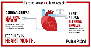 A lot of people will think that heart attack and cardiac arrests are the same things, but in actuality, they are both different and with heart health being a major issue in the middle east, understanding the difference is important to know whether you are at risk of either one and what you can do to steer. Las Vegas Firerescue On Twitter Do You Know The Difference Between A Heart Attack Cardiac Arrest Here Is An Excellent Diagram From Pulsepoint Cardiac Arrest Is Sudden Death Get Involved Perform