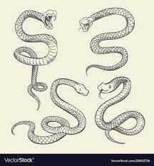 54 Best Tattoo Design Drawings Gallery Snake Drawing Tattoo Design Drawings Snake Tattoo