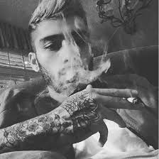 pin on singer zayn malik