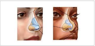 Dirección General de Bibliotecas UAQ