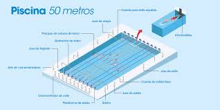 todo lo que siempre quisiste saber sobre las piscinas olimpicas y nunca te atreviste a preguntar decathlon natacion swimming garden tools architecture