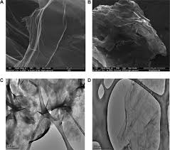 Kang lim, ~55see limshyr lim, ~45chong lim. Exceedingly Biocompatible And Thin Layered Reduced Graphene Oxide Nanosheets Using An Eco Friendly Mushroom Extract Strategy Abstract Europe Pmc