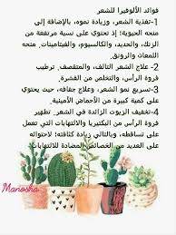 فوائد جل الصبار للشعر Word Search Words
