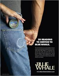 The participants were randomly assigned to use camel snus winterchill, robust (~2.5 mg. No Smoke No Foul Critics Disagree The New York Times
