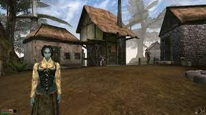 Morrowind game of the year edition tendrás un mundo gigante a tu disposición y plena un juego divertidísimo, con muchos personajes y jefes realmente desafiantes. Los Mejores 12 Rpgs Para Pc Con Pocos Requisitos Liga De Gamers