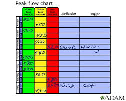 Record Results On The Peak Flow Meter Chart Infobarrel Images