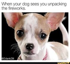 When Your Dog Sees You Unpacking The Fireworks Ifunny Dogs And Fireworks Funny Animal Memes Dogs