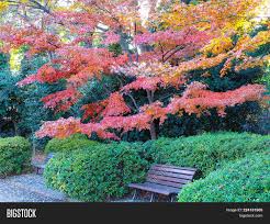 Draw the outline of the park bench. Park Benches Image Photo Free Trial Bigstock