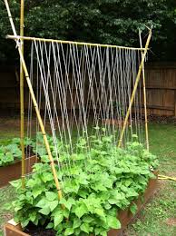 Looking for pole bean support ideas? 15 Easy Diy Cucumber Trellis Ideas A Piece Of Rainbow