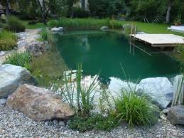 Biotop Schwimmteiche Mattuschka Schwimmteich Naturschwimmteich Naturschwimmbecken