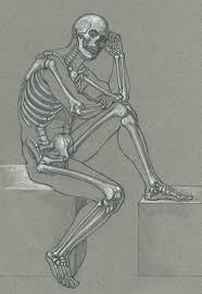 Introduction Classic Human Anatomy In Motion The Artist S Guide To The Dynamics Of Figure Drawing