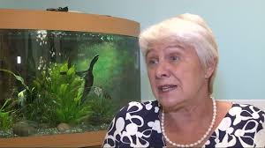 19 Julia Kitchen Stock Videos, Footage, & 4K Video Clips