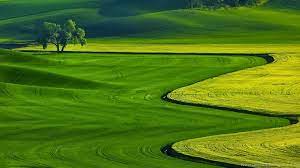 We did not find results for: Free Download Full Hd Nature Wallpapers For Pc Desktop Backgrounds Desktop Background